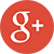 Google+